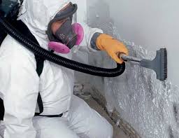 Best Mold Removal for HVAC Installations  in Malabar, FL